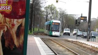 Potsdam Trams