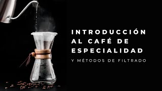 Webinar   Introducción al cafe de especialidad - Bold Specialty Coffee