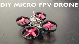 DIY Micro FPV Drone! The \