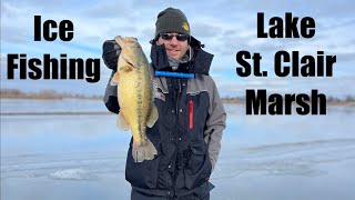 Ice Fishing Lake St Clair Marsh