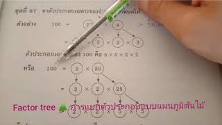 คณิตศาสตร์ การแยกตัวประกอบ |factor tree) ครูขวัญดาว