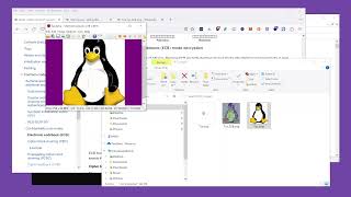 Encrypting Images with ECB