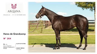 Arqana 2022.10 - N° 264 - F. / Cloth Of Stars x Desert Image, présentée par le Haras De Grandcamp