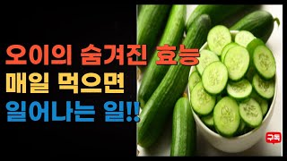 오이의 숨겨진 효능!매일 먹으면 생기는 놀라운 신체변화