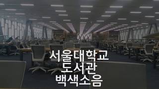 서울대학교 도서관 백색소음 30분