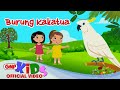 Burung Kakatua - Anthony S & Friends