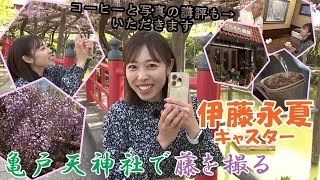 スマイル☻いっとう賞～亀戸天神社の藤～（2023年4月23日）