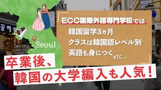 韓国の大学で学ぶ卒業生にインタビュー！【ECC国際外語専門学校】