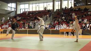 Hapkido (Daehan Minguk) European Championships 2013 - Team Austria