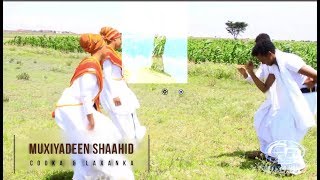 Dhaanto Cusub | Xaawo TAAKO | Muxiyadeen Shaahid | 2019 Footage Mixed