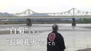 嘉瀬花火の軌跡