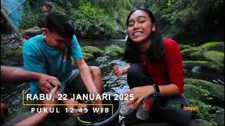 JEJAK PETUALANG di TRANS7! Kepiting Merah di Lae Mbilulu \u0026 Kayu Kapur Pagindar Pakpak Bharat\