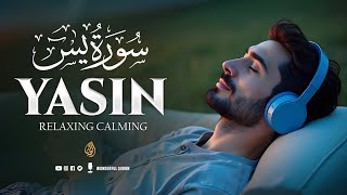 Surah Yasin (Yaseen) سورة يس | Relaxing Heart Touching Emotional Angelic Voice | Wonderful Quran