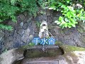 瀧川神社（謎多き 瀬織津姫）静岡県三島市 2020年 6月