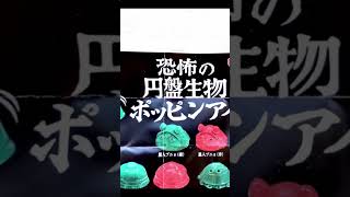 ウルトラマンレオに登場した円盤生物はポッピンアイだった⁉️