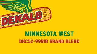 2021 Field Days | Minnesota West, DKC52-99RIB Brand Blend