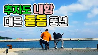 항구에서 대물 돌돔 3마리!! 실화냐?? / 레드펄스 GT30-425 / 낚시n캠핑 / Camping\u0026MukBang / Eating Show