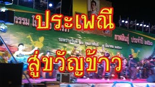 บุญคูณลานข้าว การสู่ขวัญข้าว ชาวอีสาน | อิสาน ข่าวแซ่บ