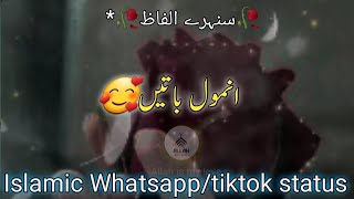 🥀سنہرے الفاظ | Islamic Status Video 💖 | best whatsapp/tiktok Status