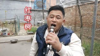 一首思念家乡歌曲《红枣树》，残疾大哥深情演唱，让人如痴如醉