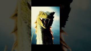 “My Favorite Dragon’s from GOT” #Vermax #flyingdragon #dragon #houseofthedragon #dragonfire pt.7