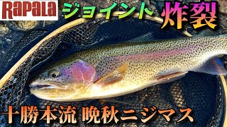 【晩秋の十勝ニジマス】トラウト王国の本流はラパラジョイントが面白い！