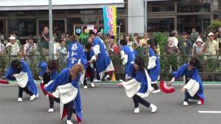 朝霞なるこ遊和会さん（Ⅱ）＠2010　所沢ＹＯＳＡＫＯＩ元気フェスタ