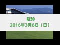 2016年3月5日・6日阪神競馬制裁事象