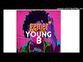 YB-GEMER