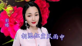 一首情歌《相思红尘风雨中》深情的演奏，多少痴情人听醉了