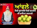 ताजा आंवला लाख का खराब आंवला सवा लाख का | 100 Benefits of Aamla By Dr. Ranjit Singh Pannu