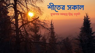 শীতের সকাল কুয়াশায় আচ্ছন্ন স্নিগ্ধ প্রকৃতি এক অন্যরকম হারিয়ে যাওয়ার গল্প। 🌨️winter morning 2024