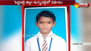 Two Children Died in Peddapalli District