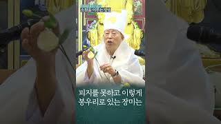 73부:소원을 이루는 기막힌 방법(용화미륵부처님)