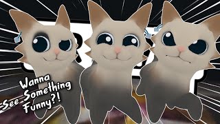 Car Dances For Everyone In VRChat! - VRChat Funny Moments (Garn47)