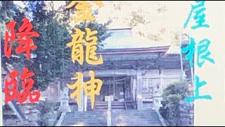 【金龍神降臨】大山白山神社参拝の際、神社の屋根上に大きな『金龍神様』が降臨されました、普段は奥の山の緑の樹木に覆われていますが、この時は『金龍神様』が降臨され、緑の樹木が見えなくなりました。