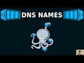 Networking Basics with Docker Compose
