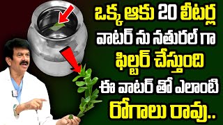 ఒక్క ఆకు నీళ్ళు మొత్తం శుభ్రం || Dr. D. Rama Mohan Rao About Water Purification at Home || SumanTv