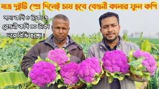 বেগুনি রঙের ফুল কপি। যেমন চাহিদা তেমন দাম। প্রতি পিছ কপি ৪০ টাকা দরে বিক্রি হচ্ছে।