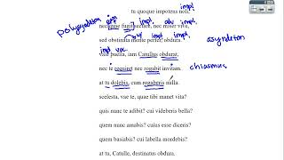 Catullus 8  Lines 9-19