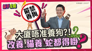 #新手攻略 大廈唔准養狗?! 咁改養貓養蛇都得啩? #中原訓練學院 #地產考牌