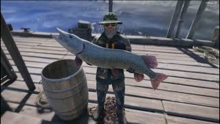 Diamond Northern Pike on Norway