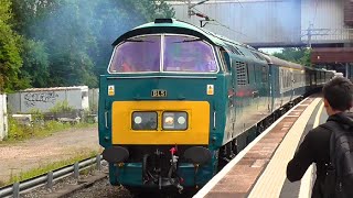 Deafening Class 52 puts on great performance at Birmingham! 21/07/24