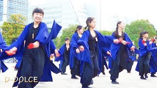 【#26】《輝龍》第16回ドリーム夜さ来い祭り (2017/11/4)