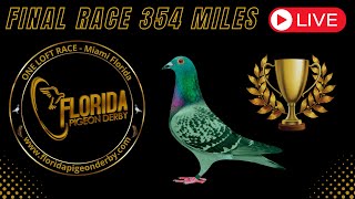 FINAL RACE 354 MILES