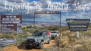 Alligator in the desert? Exploring the unique & surprising Arizona Strip