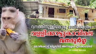 വനത്തിലൊരു ദേവി ക്ഷേത്രം വള്ളിക്കാട്ടുകാവിലെ വനദുർഗ്ഗ vallikattu kavu vanadurga #arshinemedia