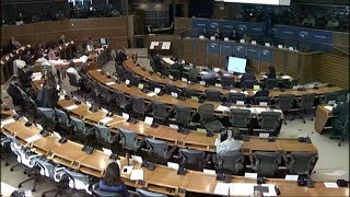 Evelien Van Den Brink's speech in the European Parliament