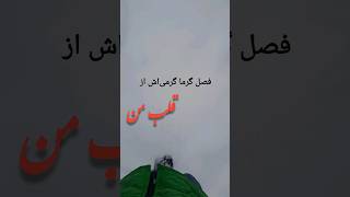 اگه برای عمر می‌خوایش این شعرو بخون #شعر_فارسی