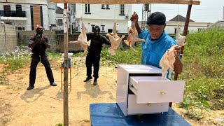 Chicken seller